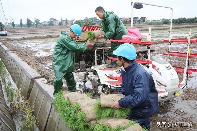 水稻直播机图片与价格概览