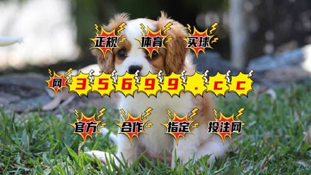 4949澳门特马今晚开奖53期,最新正品解答落实_5DM88.251